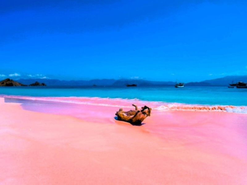 Ikonická Pink Beach na ostrově Komodo.