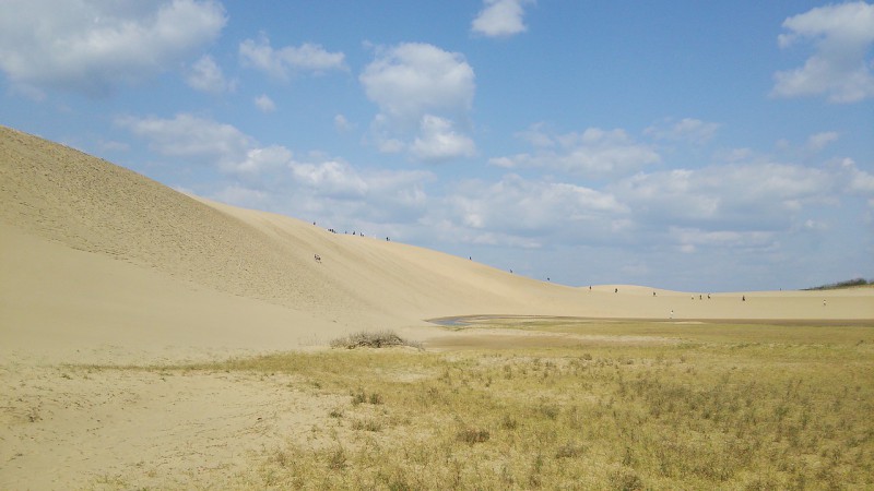 Pískové duny Tottori