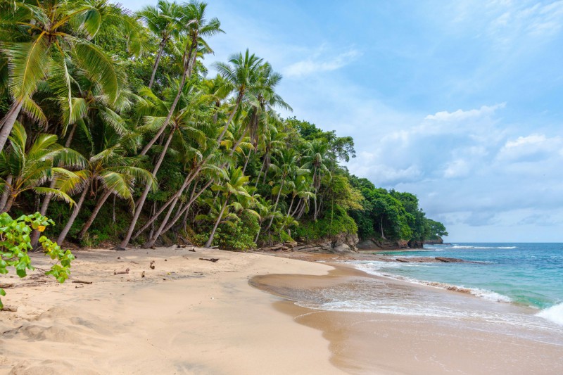 Nádherná pláž s palmami Playa Blanca v Panamě.