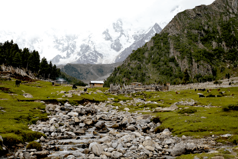 Pohádkové louky Fairy Meadows v Pákistánu