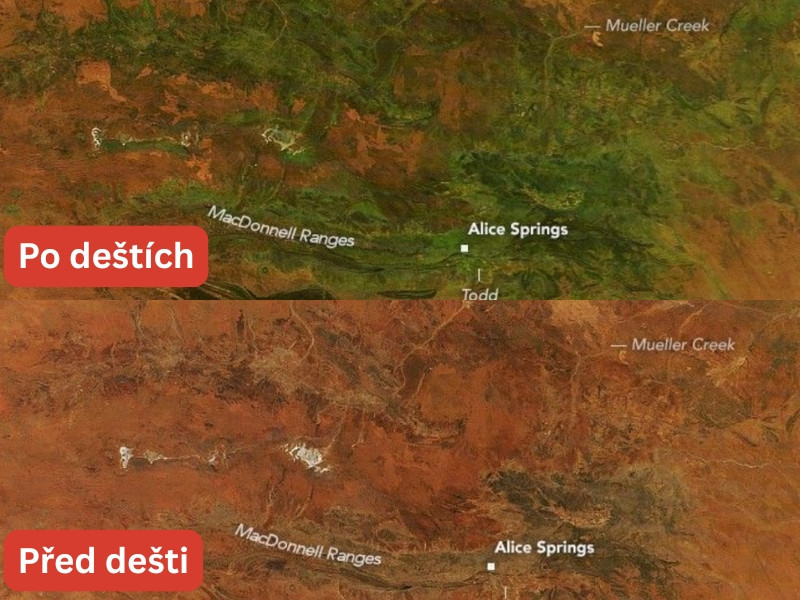 Zdroj:science.nasa.gov/ Satelitní porovnání oblasti u Alice Springs před dešti a po deštích v roce 2026
