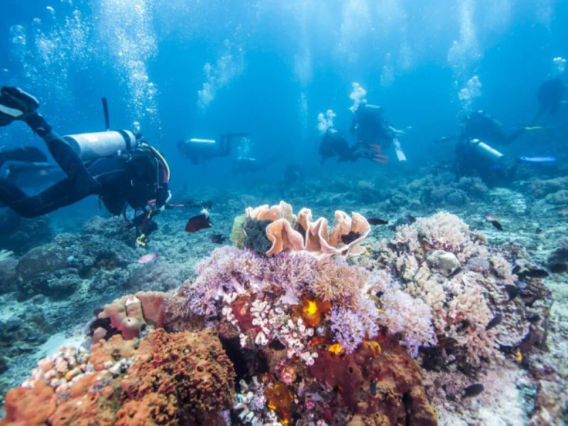 Skupina potápěčů v oceánu u Velkého bariérového útesu.