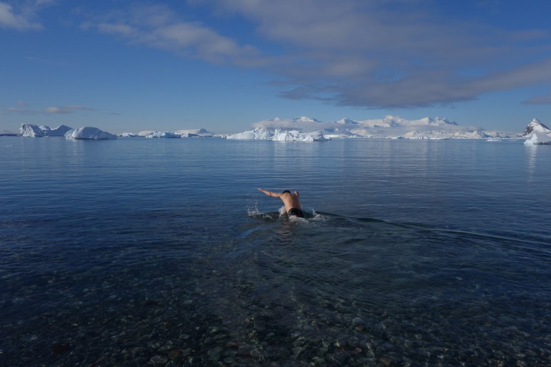 plavání na Antarktidě