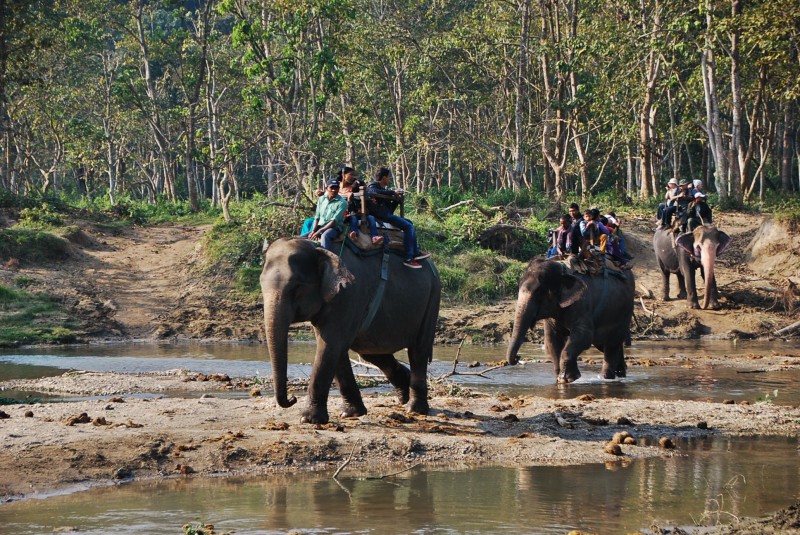 nepálské safari, NP Chitwan