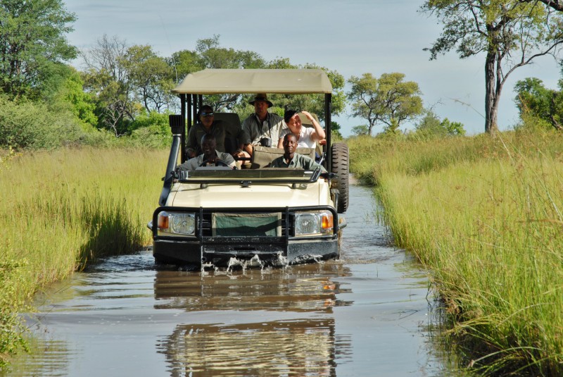 safari z auta, Afrika