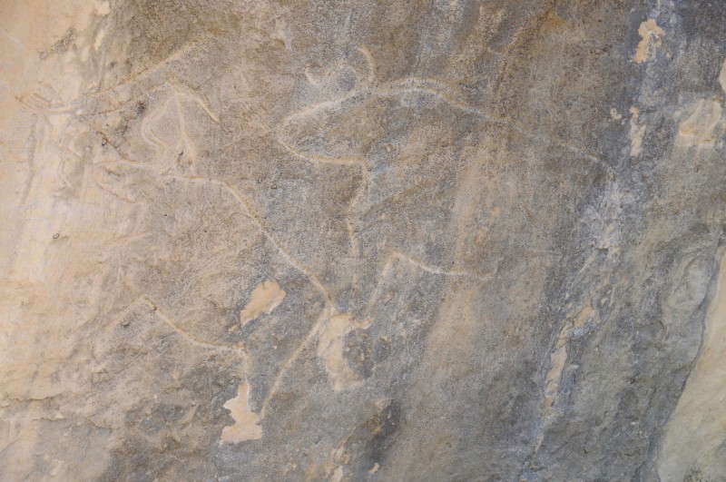 Detail petroglyfu býka v Qobustanu