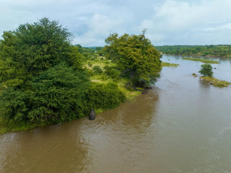 Řeka Rufiji v přírodní rezervaci Selous Game Reserve. 