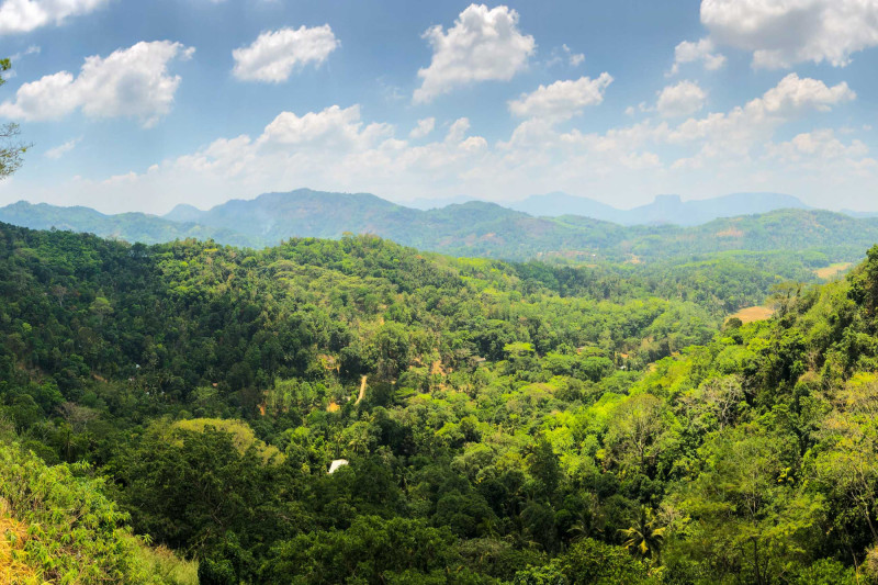 Zeleň na pohoří ve vnitrozemí Srí Lanky.