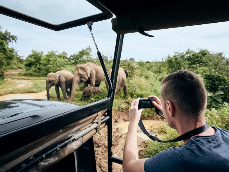 Fotografování slonů na safari v Africe.