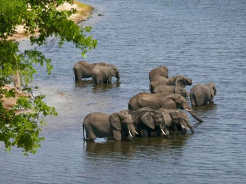  Pozorování slonů na safari v Botswaně.