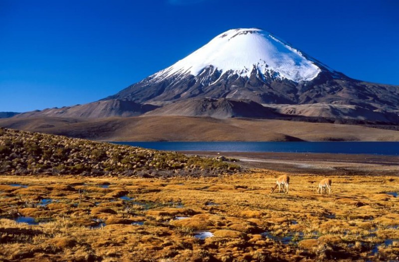 Sopka Parinacota