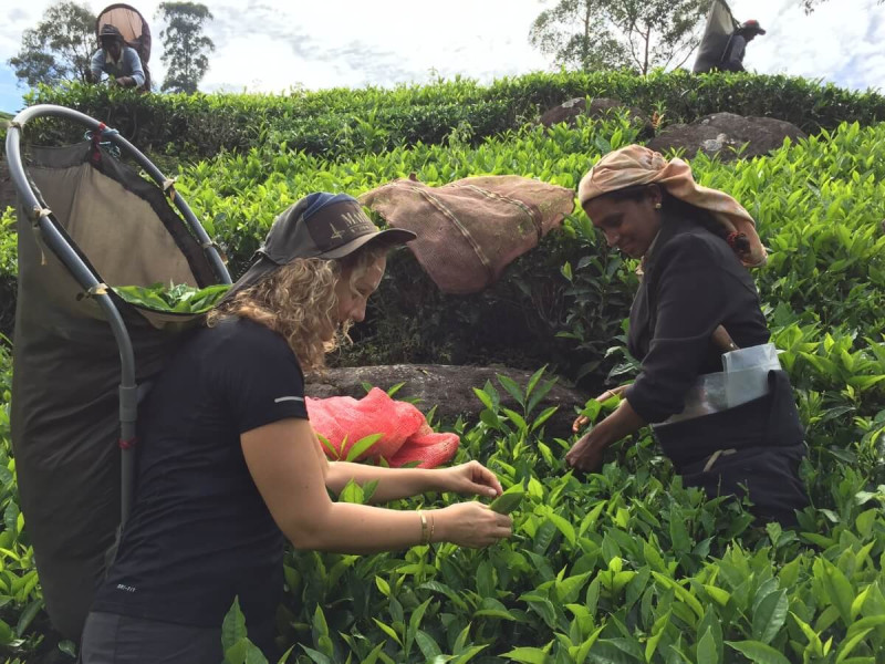 Průvodkyně CK SEN s místní sběračkou na plantáži v Indii.