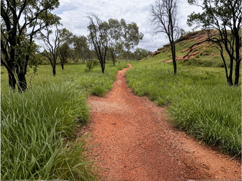 Stezka s červeným pískem a zelenou vegetací v okolí Uluru po dešti v Austrálii.
