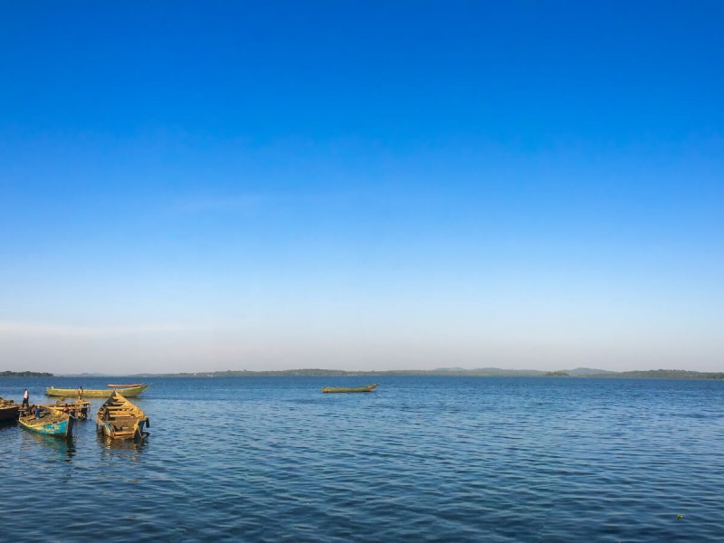 Viktoriino jezero v Ugandě.