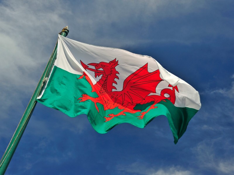 Vlajka Walesu.