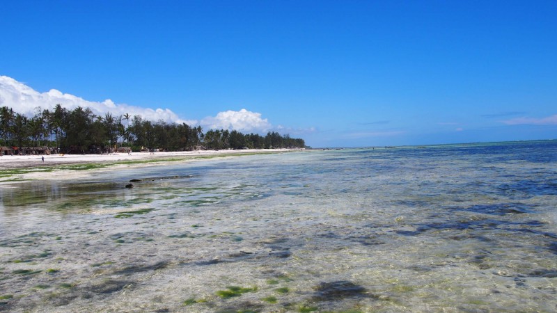  Čistá voda a bílá pláž na Zanzibaru.