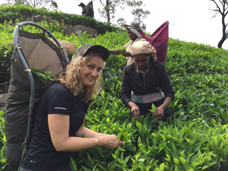 Průvodkyně CK SEN sbírá čajové lístky na Srí Lance.