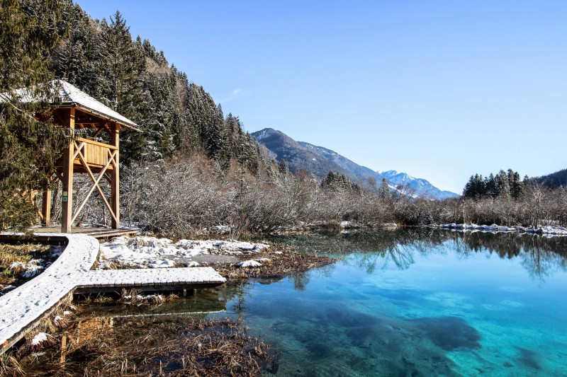 Přírodní rezervace Zelenci při obci Kranjska Gora.