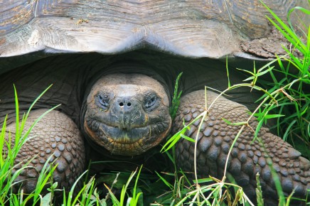 Vítejte v ráji Galapág