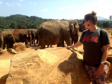 CK SEN na Srí lance 