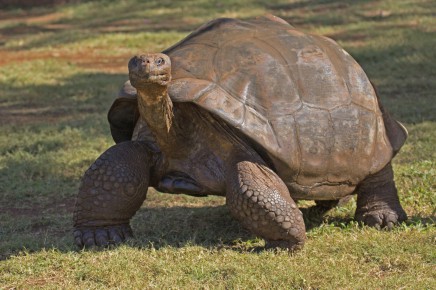Vítejte na Galapágách