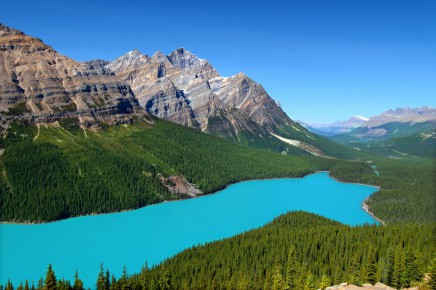 Tyrkysové jezero Peyto, Kanada  