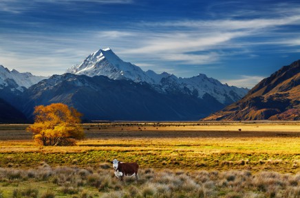 Krásná příroda Nového Zélandu 