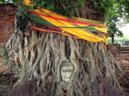 Symbol Ayuthayi