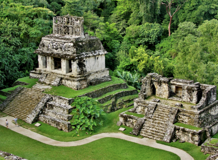Palenque je stále pod nánosem džungle