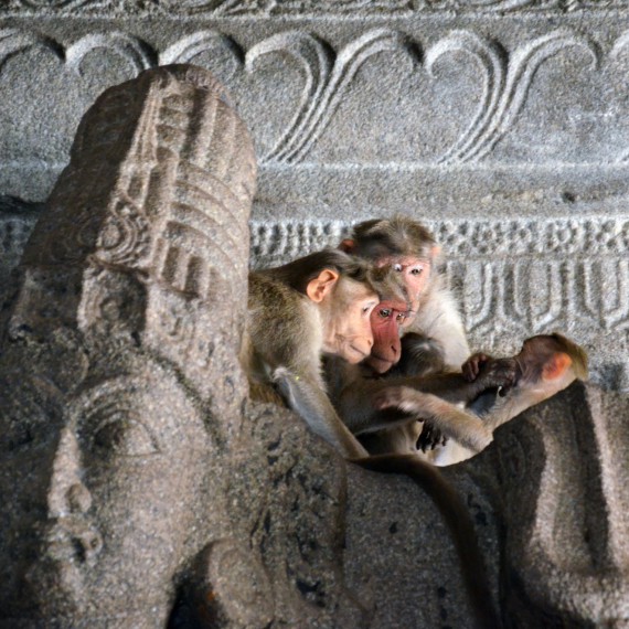 Neskutečné detailní výjevy z Buddhova života