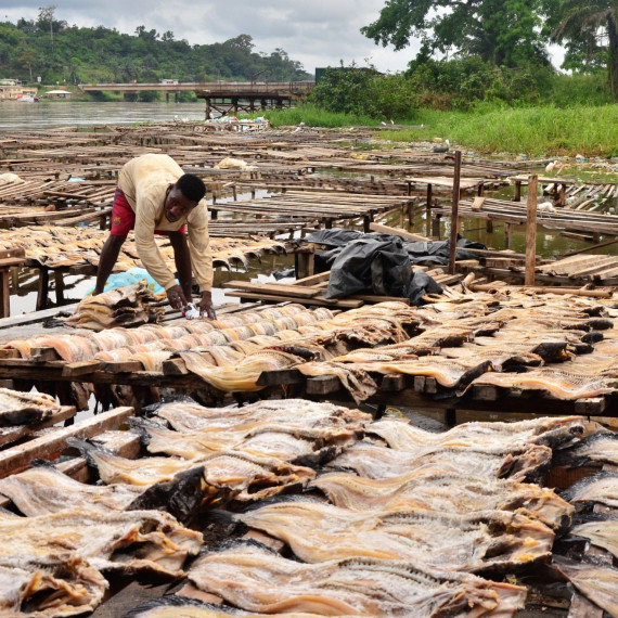 Přístav v centru města. Tady se každý den zpracovává obrovské množství ryb.