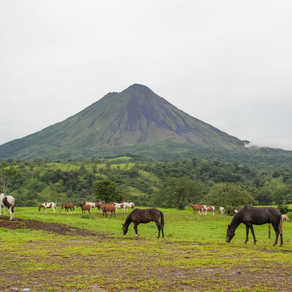 Kostarická příroda pod sopkou Arenal 