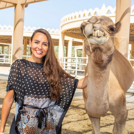 Velbloudi jsou nesmírně důležití v arabských zemích 