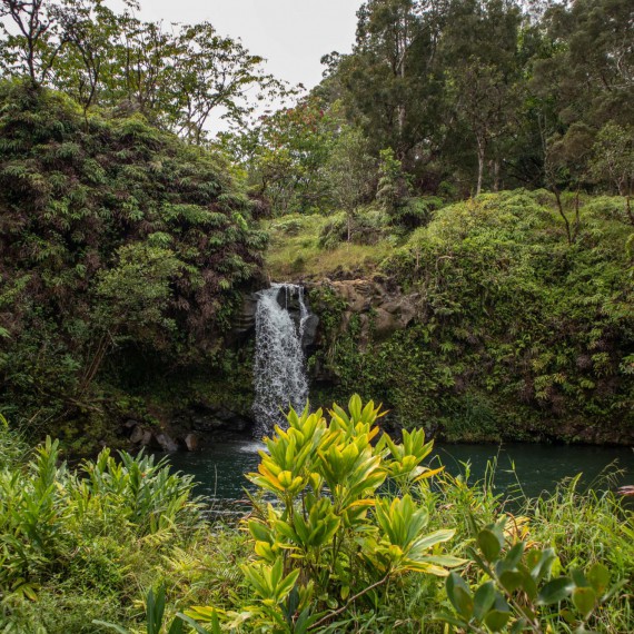 Havajská příroda je kouzelná
