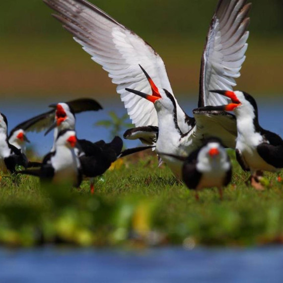 Některé tyto aktivity máte samozřejmě již v programu vid itinerář zájezdu.