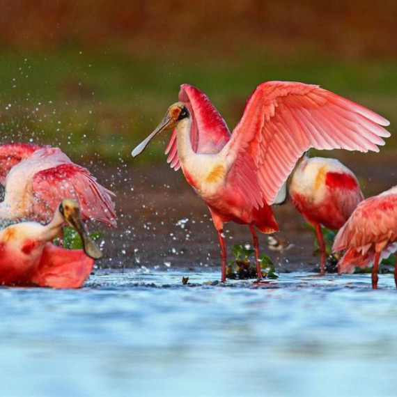 Kolem lodge se nachází několik turistických stezek a hosté se mohou věnovat nerušené turistice, pozorování zvířat během východu nebo i západu slunce, mohou jezdit na koních a mohou chodit i noční turistiku.