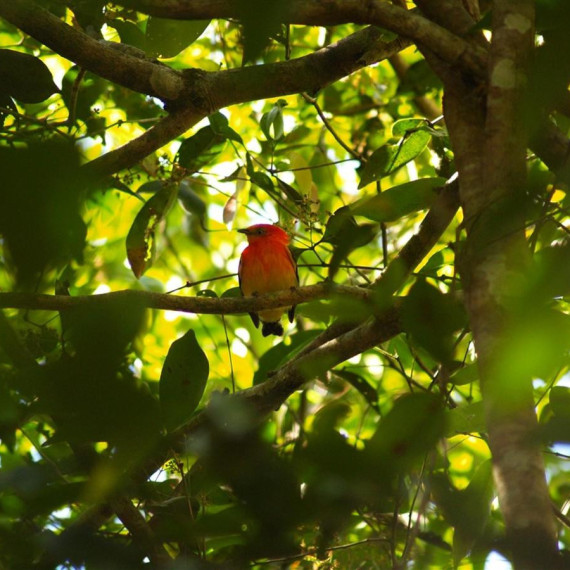 Místní průvodci vám trpělivě vysvětlí, co vidíte a fotíte.
