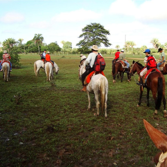 Malý výlet na koních potěší každého. Doporučujeme. Je to fantastické a obrovský zážitek. Příroda ze sedla.
