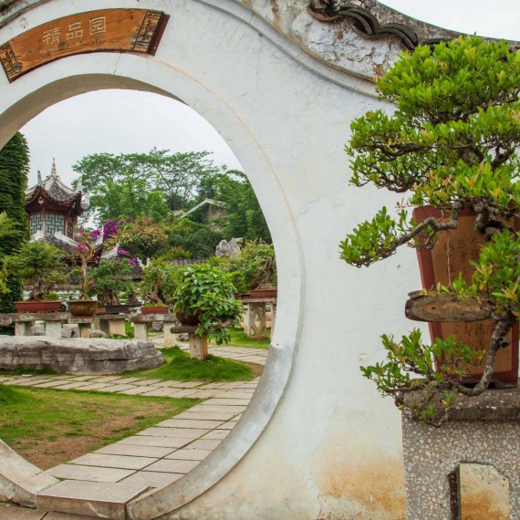 Zahrada s výstavou unikátních bonsajů