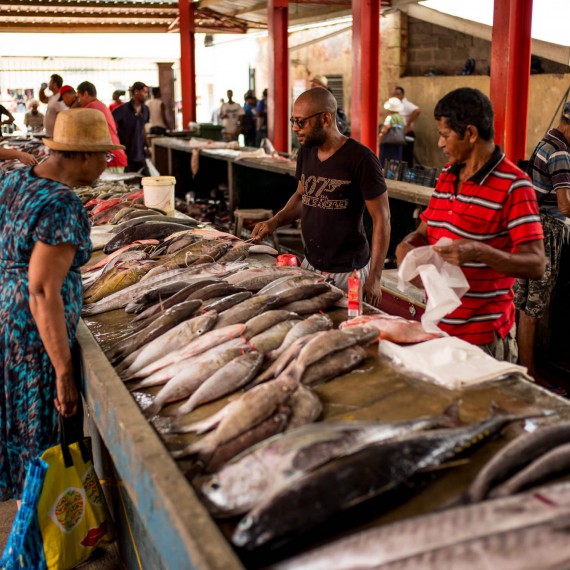 Sir Selwyn-Clarke market je ukázkou čerstvosti ryb, stále vykládají na pult nové a nové úlovky