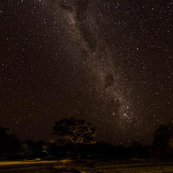 Dobrou noc v divoké přírodě!