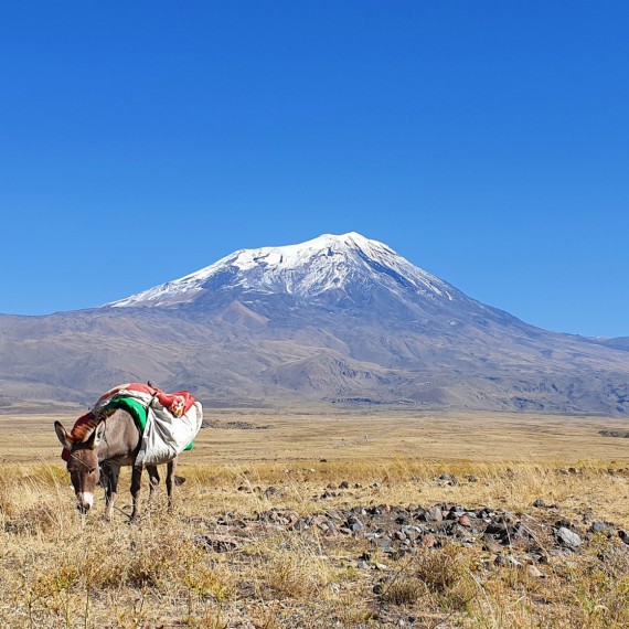 Ararat a příběh potopy světa. Právě tato ikonická a krásná hora je naším cílem