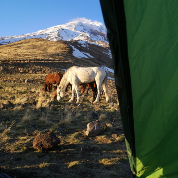 Tento krásný pohled se vám naskytne každé ráno po otevření stanu 