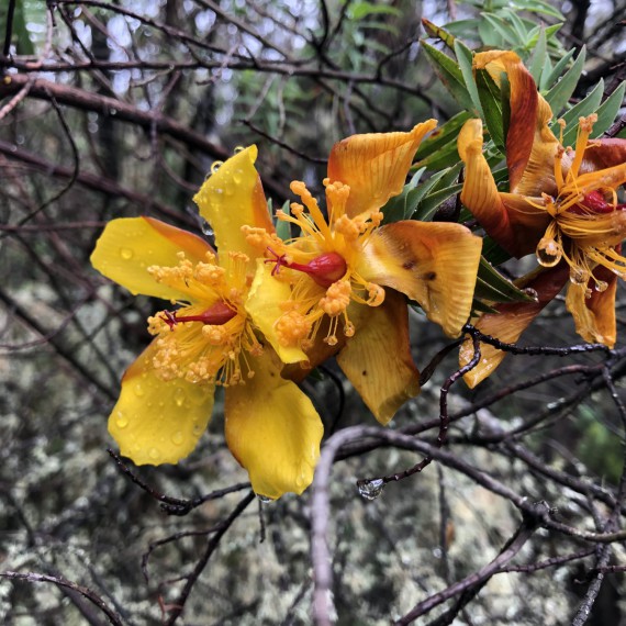 Každý den nás čeká jiná fauna i flora