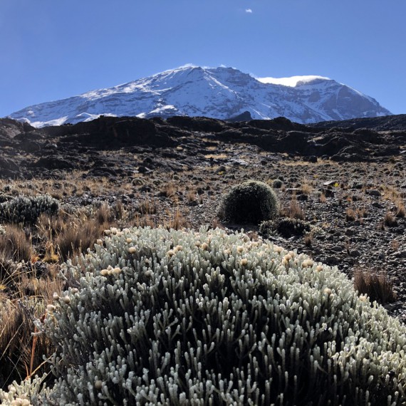Cesta na vrchol bude opravdu rozmanitá