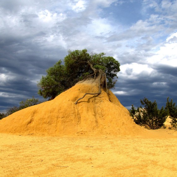 Národní park Nambung v západní Austrálii