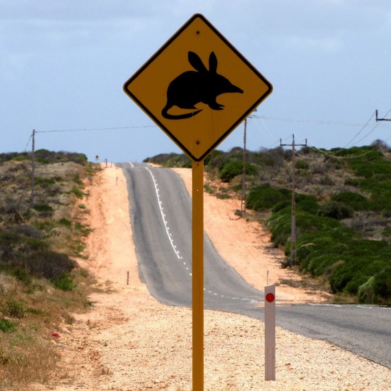 Netradiční dopravní značky v Austrálii