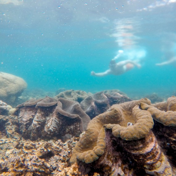 Bohatý podmořský svět 