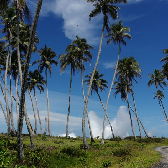 Samoa je palmový ráj