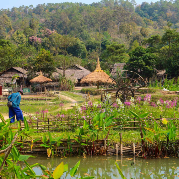 Vesnička v severním Thajsku - v oblasti Chiang Mai.